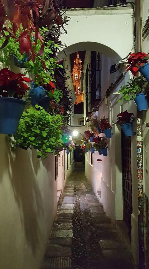 Апартаменты Centro Кордова Номер фото